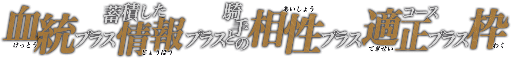 血統+蓄積した情報+騎手との相性+コース適正+枠